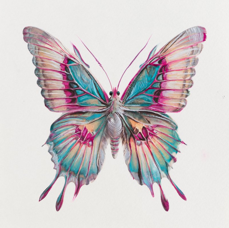 Elaheh Ramezani, The Lepidopteran Register: Azure Glow, Opalescent Somnolence, 2025