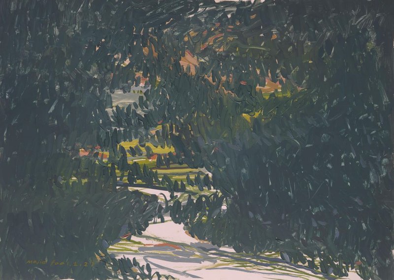 Majid Faal, Untitled