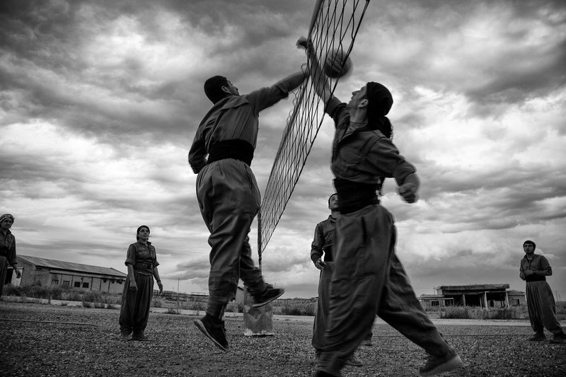 Maryam Ashrafi, Untitled