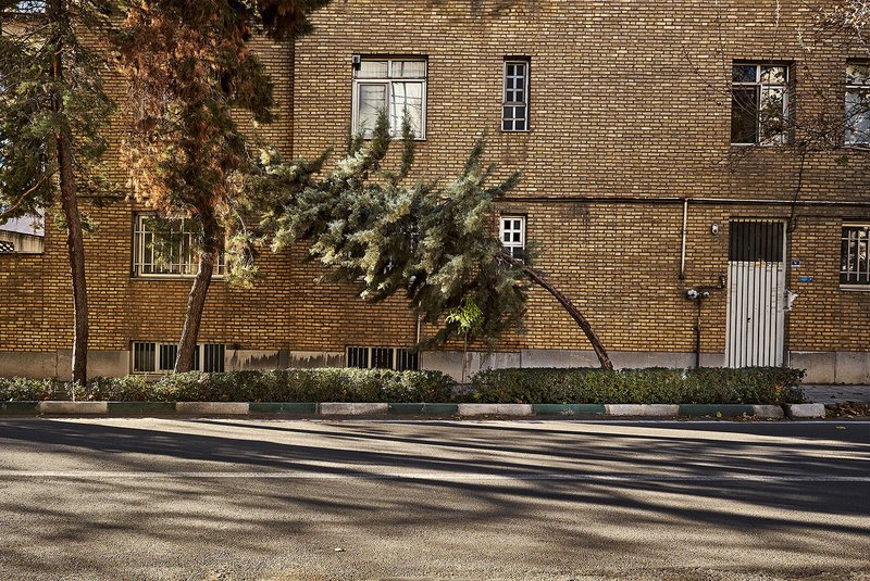 Alireza Fani, Untitled, 2016