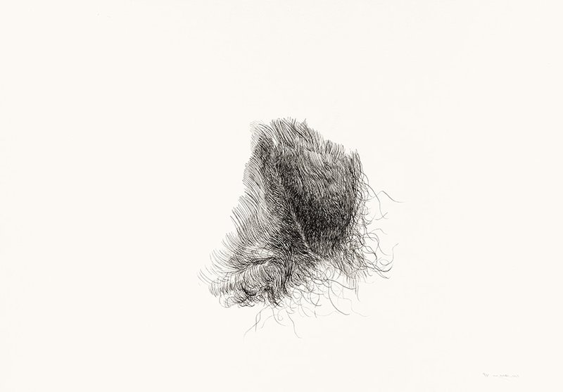 Reza Sedighian, Untitled, 2018