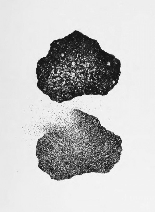 Marjan Ghorbani, Untitled, 2023