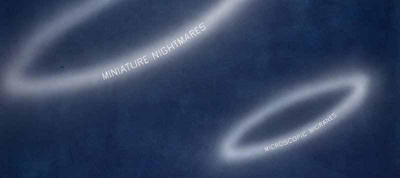 Contemporary Curated