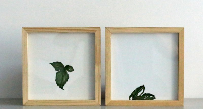 Maryam Baniasadi, Untitled, 2019