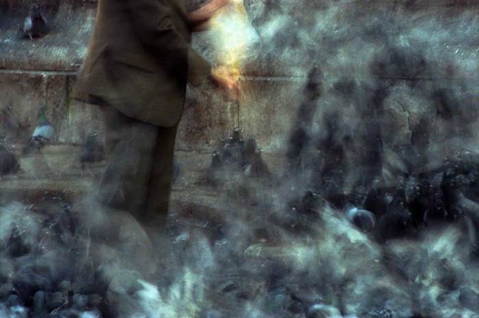 Razi Miri, Untitled