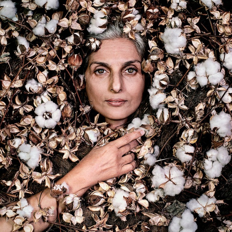 Maryam Firuzi, Untitled, 2019