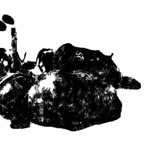 از خیاو