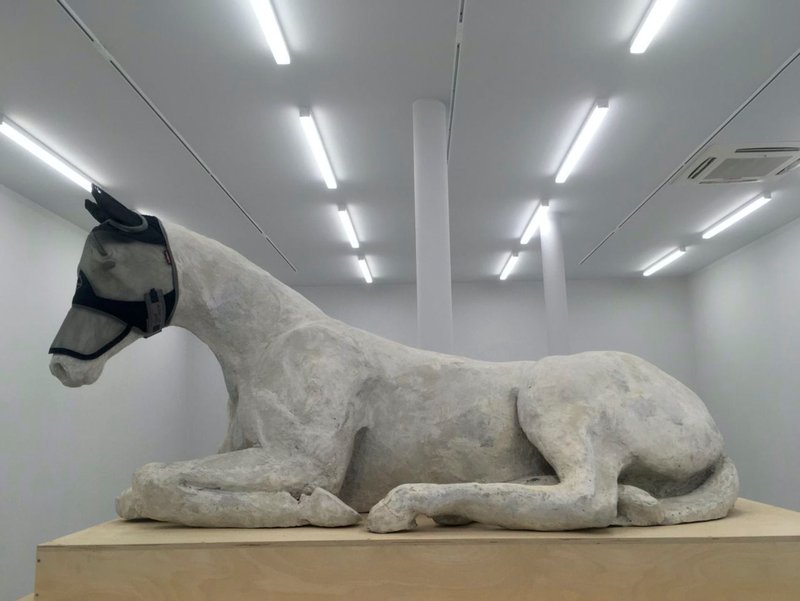 Sepideh Zamani, Rest, 2021