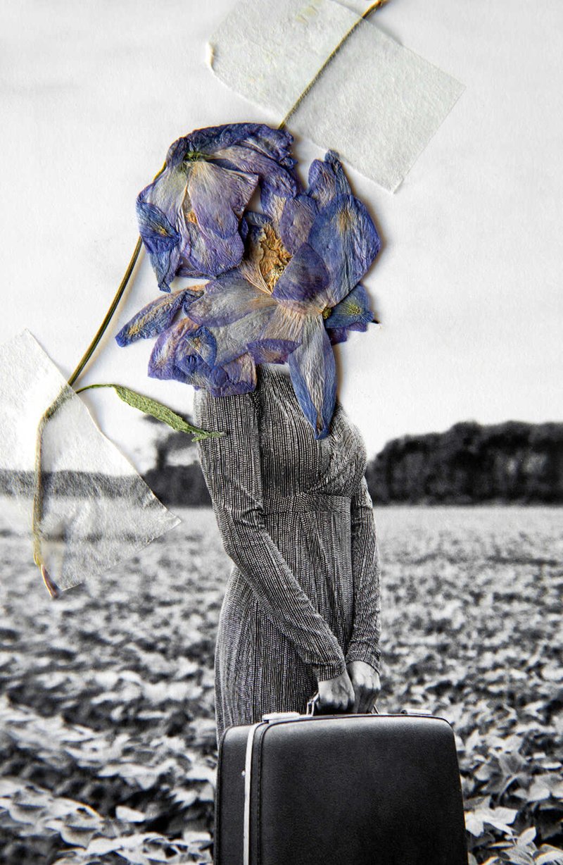Clau Cebrian, Dried Flowers I, 2021