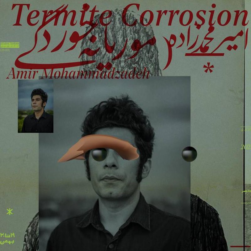 Termite Corrosion