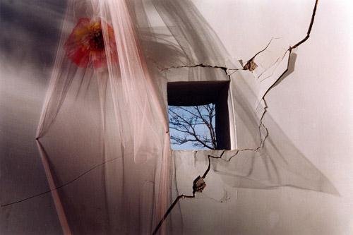 Behnam Sadighi, Untitled, 2004