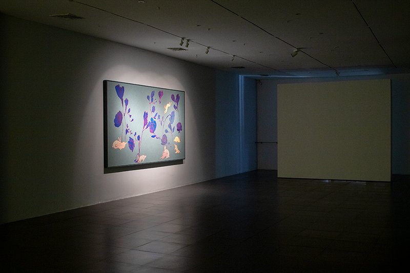 Ouch, installation view