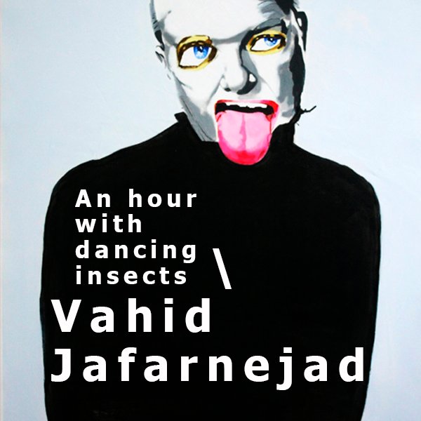 An Hour with Dancing Insects