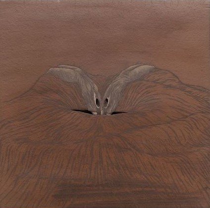 Roksana Pirouzmand, Untitled