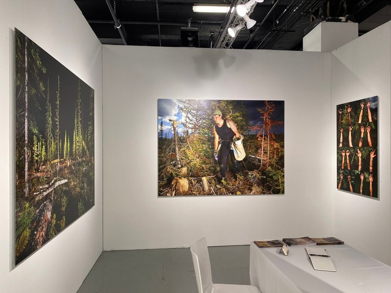 Installation view.