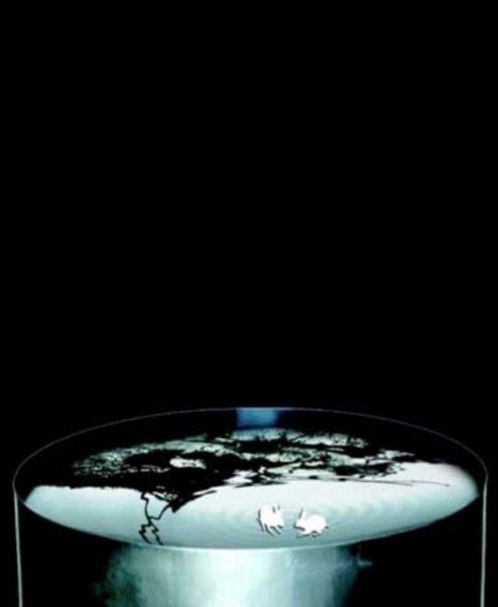 Farideh Lashai, Prelude to the Rabbit in Wonderland, 2010