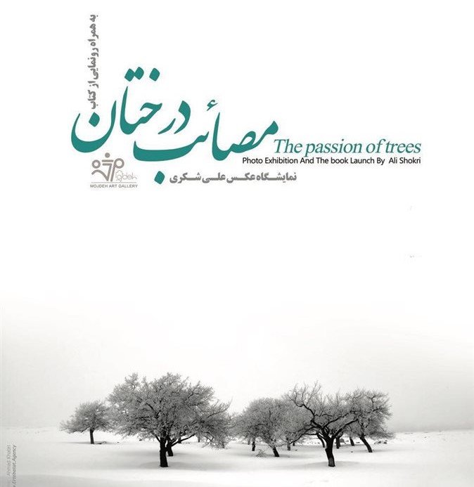 The Passion of Trees