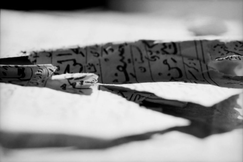 لیلا ظلی، چشم‌اندازهای مقدس، 1397