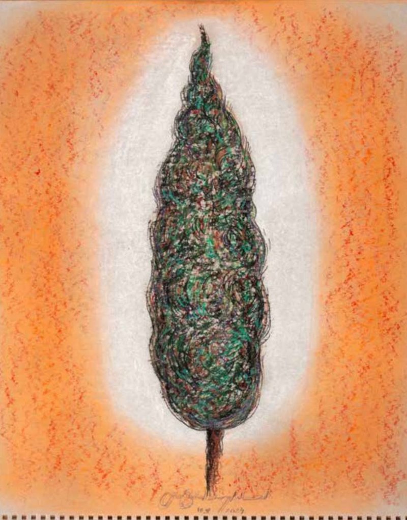 Omid Bonakdar, Untitled