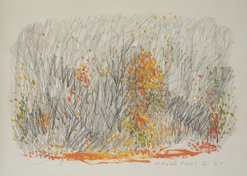 Majid Faal, Untitled