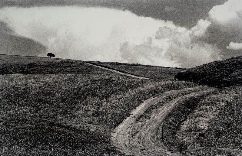 Abbas Kiarostami, Untitled