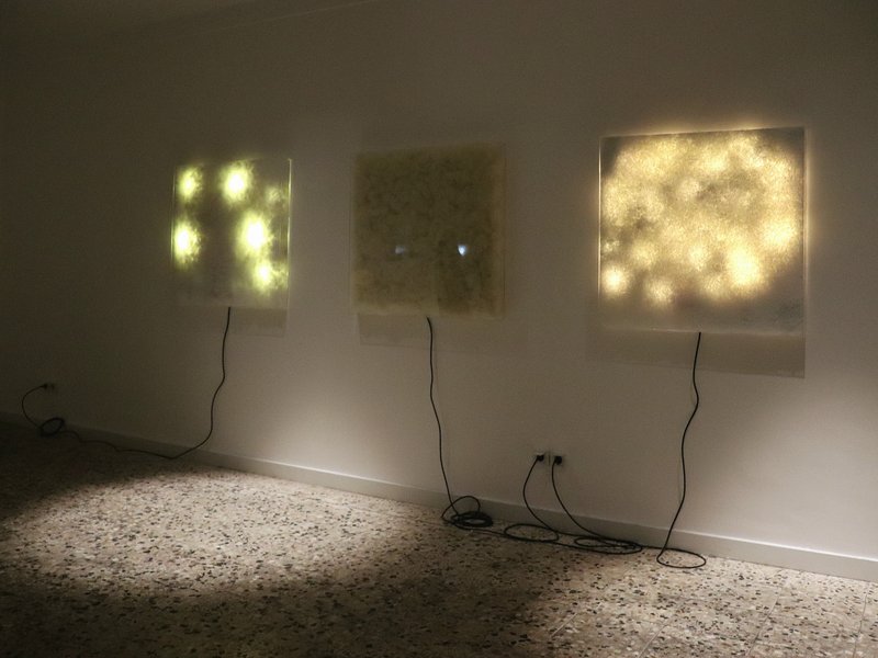 Rain Hunters, installation view