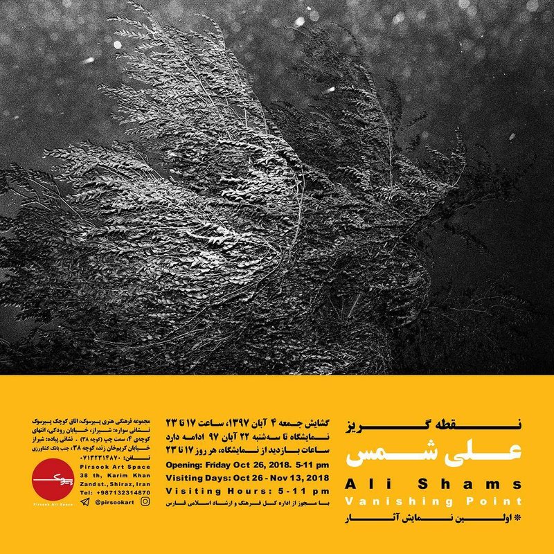 نقطه گریز