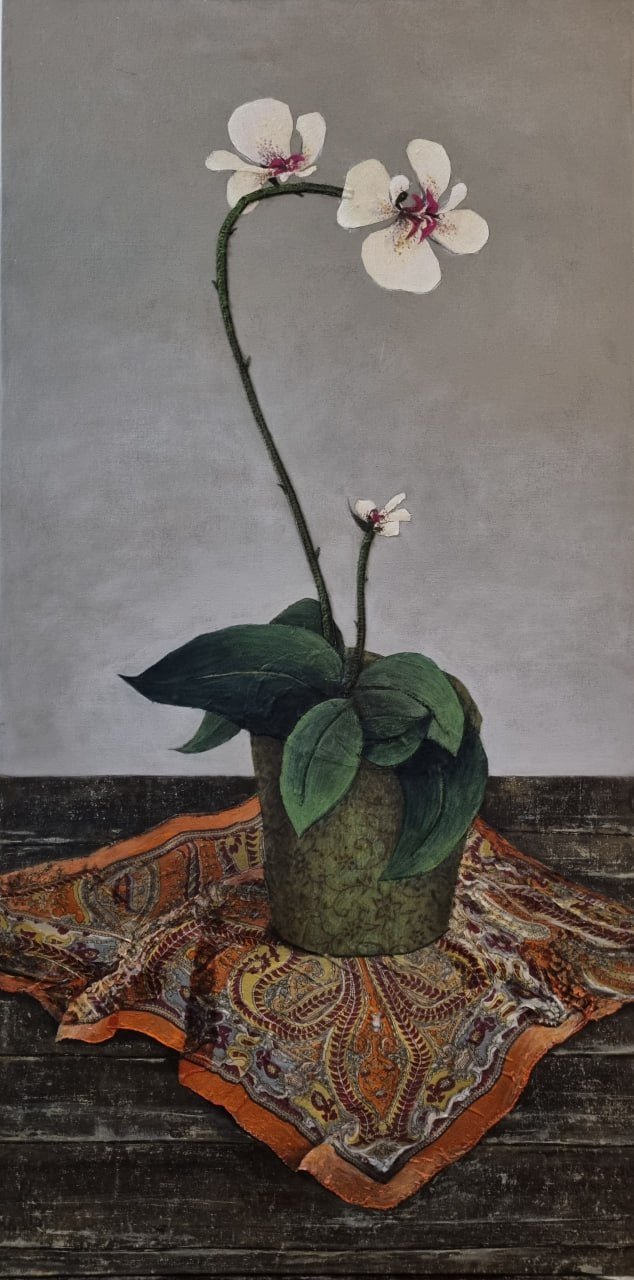 Mahta Moeini, Untitled