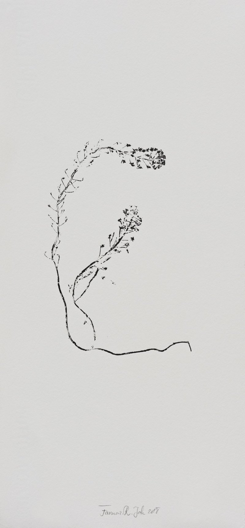 Farnaz Rabieijah, Untitled, 2018