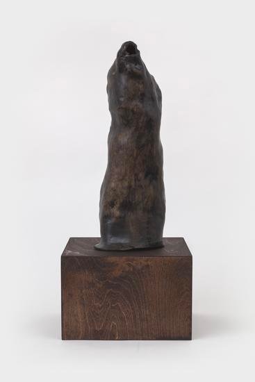 Sheree Hovsepian, Untitled, 2022