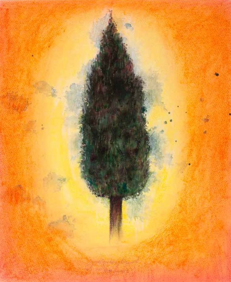 Omid Bonakdar, Untitled