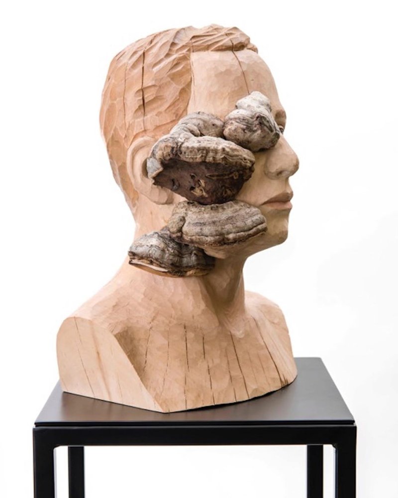 Yasam Sasmazer, Untitled, 2018