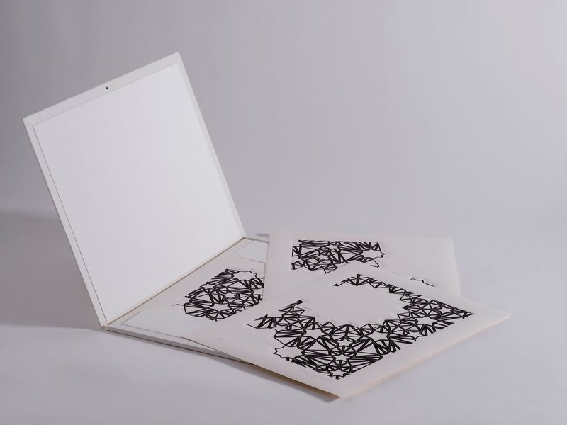 Sahand Hesamiyan, Majaz Portfolio, 2017