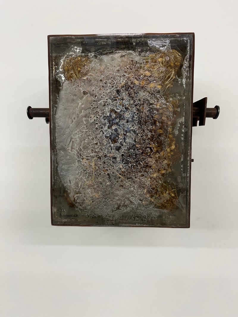 Hedie Khanali, Untitled
