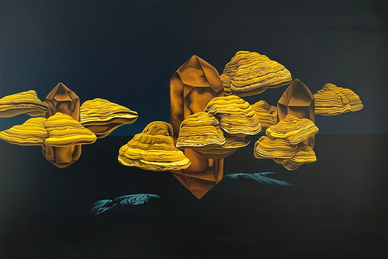 Nima Zaare Nahandi, Untitled