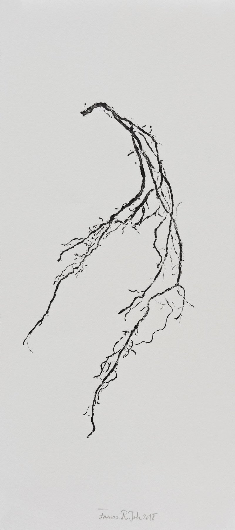 Farnaz Rabieijah, Untitled, 2018