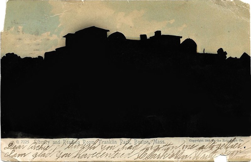 Sareh Imani, Untitled