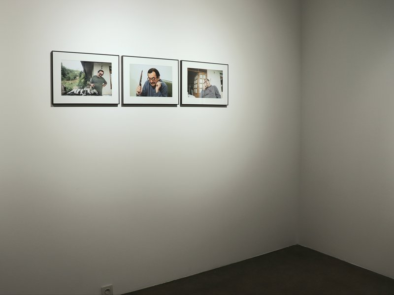 The Way of Seeing, installation view
