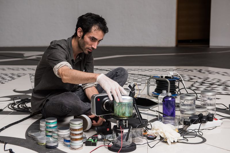 Performances at FIAC