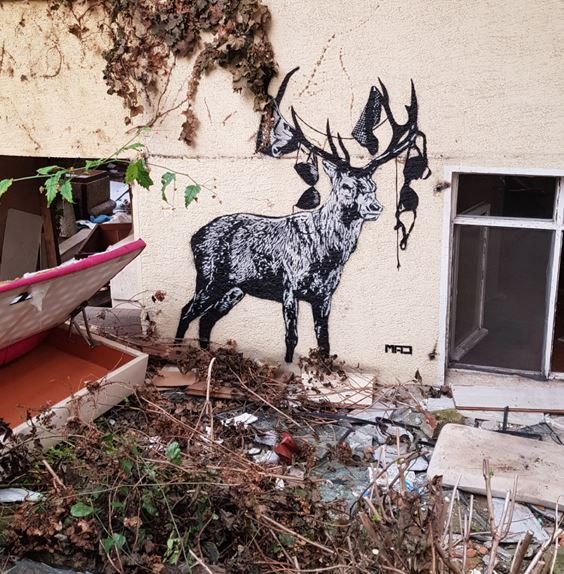 Runaway Stag, 2020