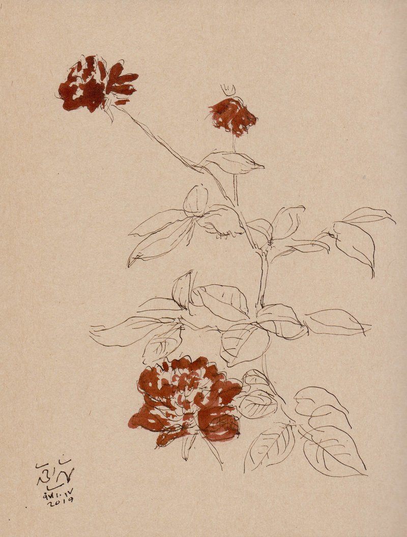 Hosein Shirahmadi, Roses, 2019