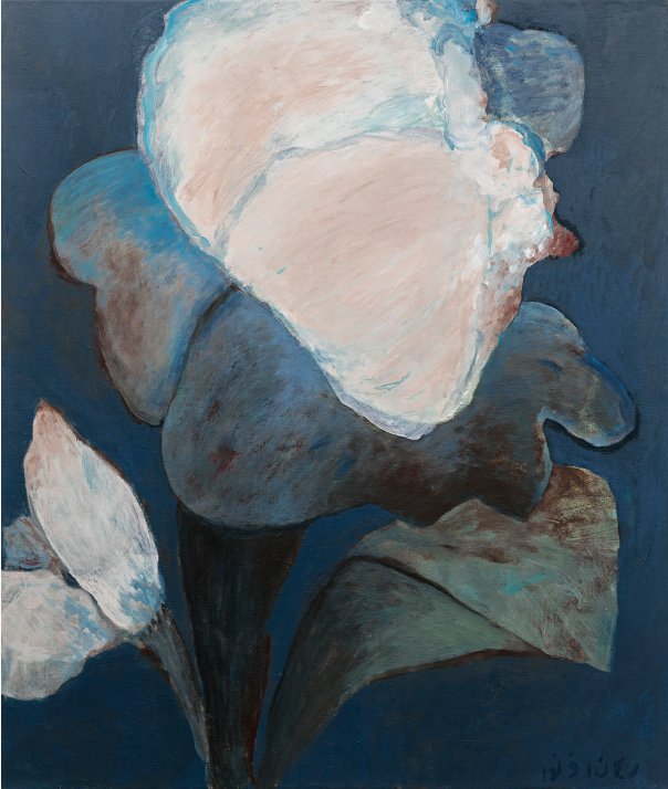 Raana Farnoud, Untitled, 2021