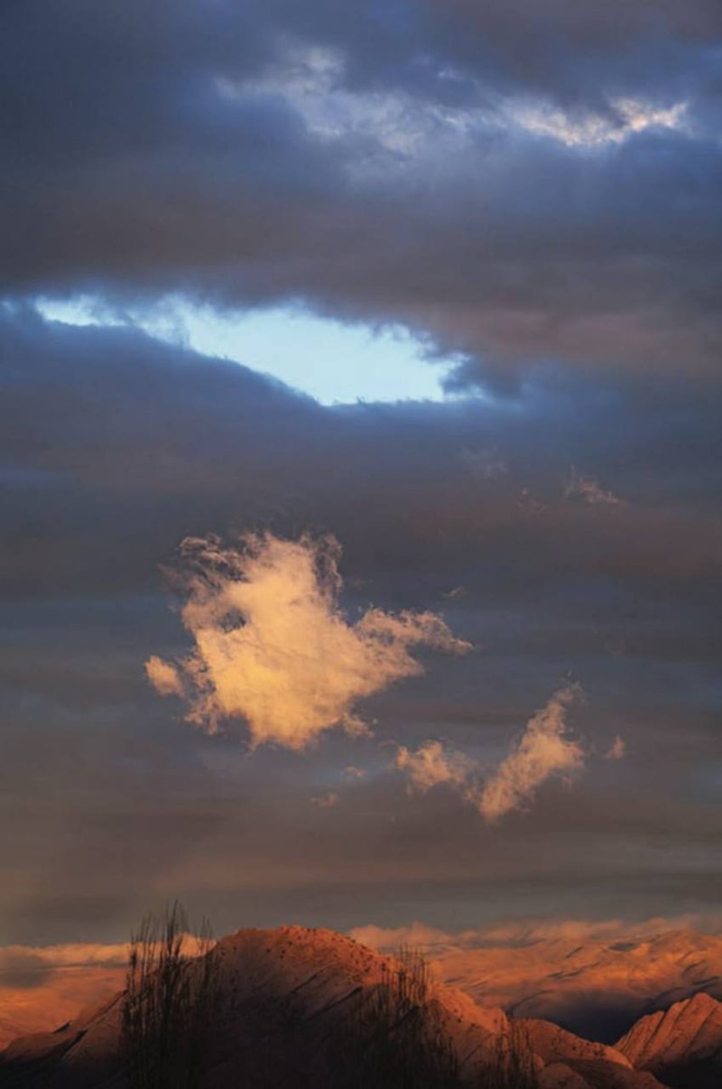 Amirhossein Heshmati, Untitled