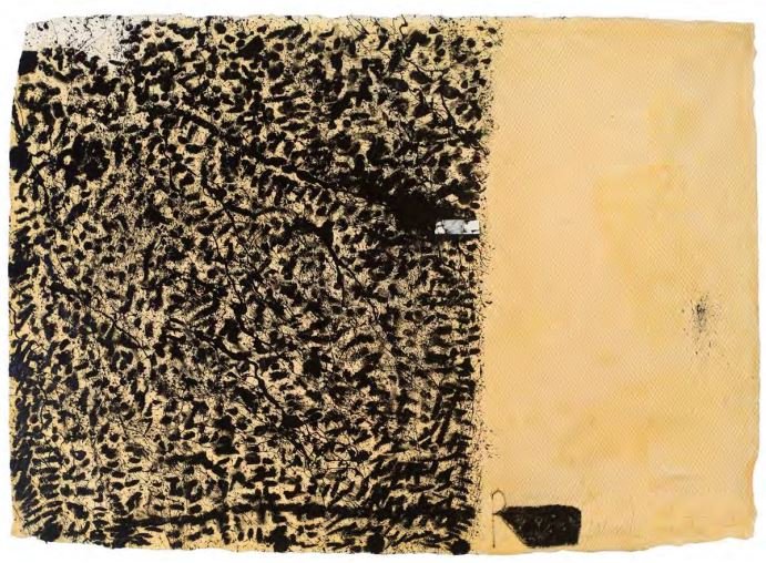 Ashkan Sanei, Rough Winds 1