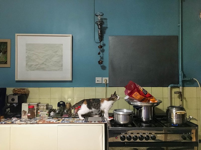 Golnaz Taheri, Kitchen 8