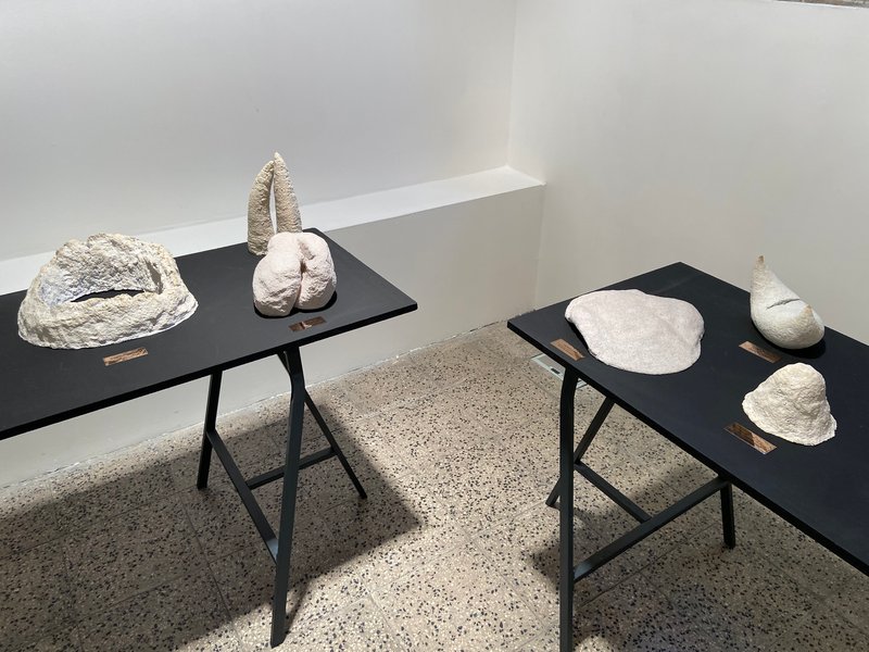 Recovery, installation view