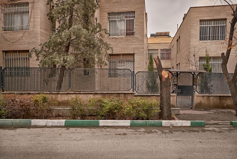 Alireza Fani, Untitled, 2016