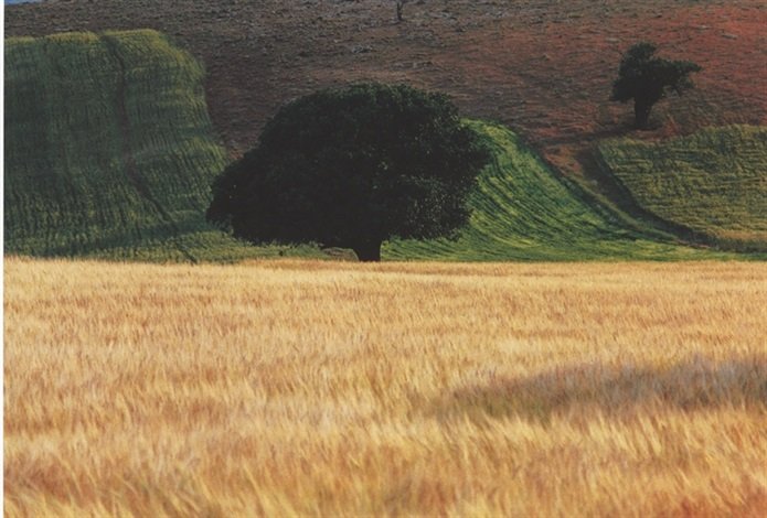 Abbas Kiarostami, Untitled, 2000