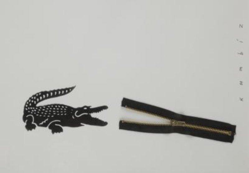 Kambiz Derambakhsh, Lacoste