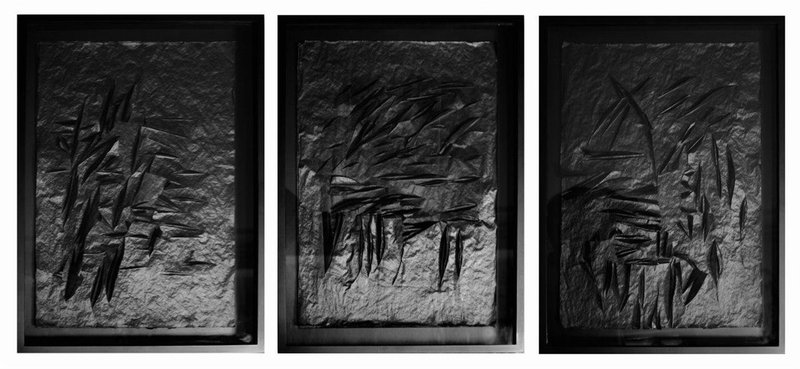 Navid Salajeghe, Untitled